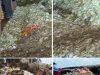 Tumpukan Sampah di Pasar Induk Cibitung dikeluhkan Pedagang